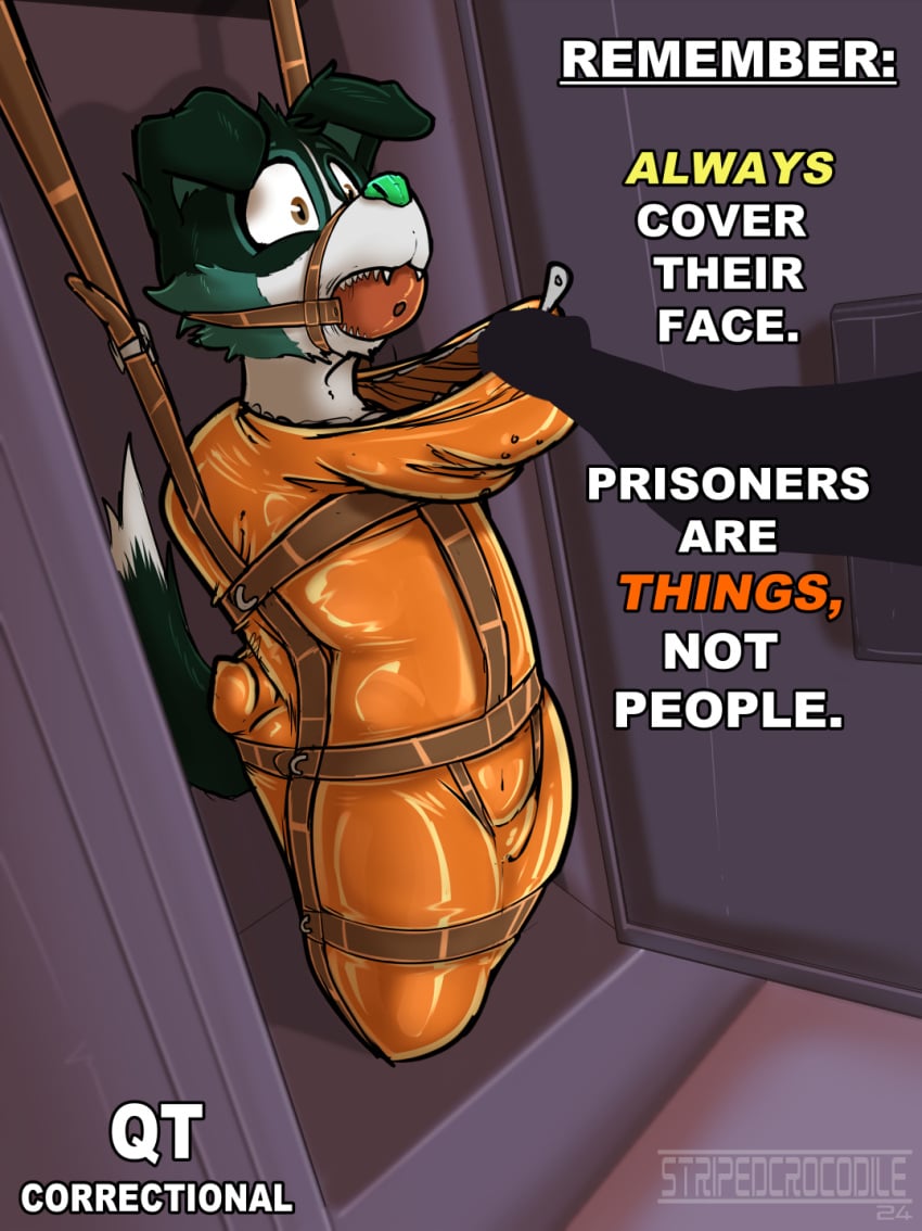 ball_gag bondage bound canid canine english_text fangs gag hi_res latex mammal prison prisoner sharp_teeth sleepsack storage stripedcrocodile submissive_male teeth text