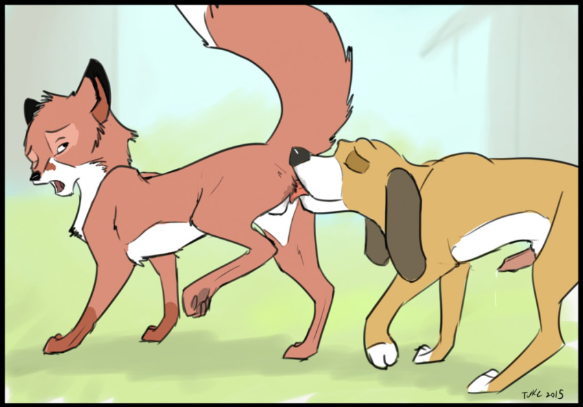 2015 2boys anal animal_genitalia balls canine_penis closed_eyes copper_(fath) cum disney duo feral feral_on_feral from_behind furry furry_only gay looking_back male male_only one_eye_closed oral penis raised_tail rimming sex testicles the_fox_and_the_hound tod_(fath) tuke yaoi