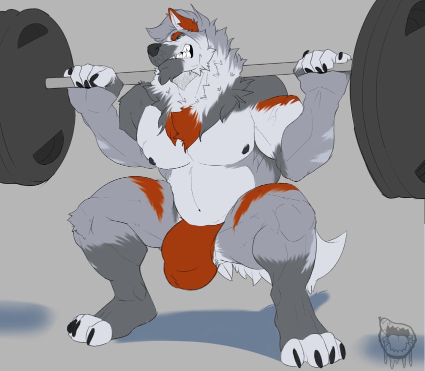 2023 absurd_res anthro artist_logo barbell barbell_squats biceps black_nipples blue_eyes bulge canid canine canis claws clothed clothing crouching exercise feet finger_claws fingerless_(marking) fingerless_gloves_(marking) fur gloves_(marking) grey_body grey_fur hi_res kyojufolf leg_markings logo male mammal markings muscular muscular_anthro muscular_male nipples nude orange_body orange_clothing orange_fur orange_stripes orange_underwear pecs serratus socks_(marking) solo stripes strom_(skyshiemi) teeth toe_claws toeless_(marking) toeless_socks_(marking) underwear underwear_only weightlifting weights wolf workout