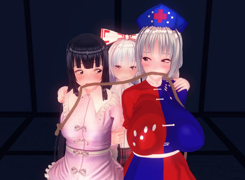 3d 3girls breasts captive chinkaigyogyo eirin_yagokoro fujiwara_no_mokou indoors kaguya_houraisan rope touhou