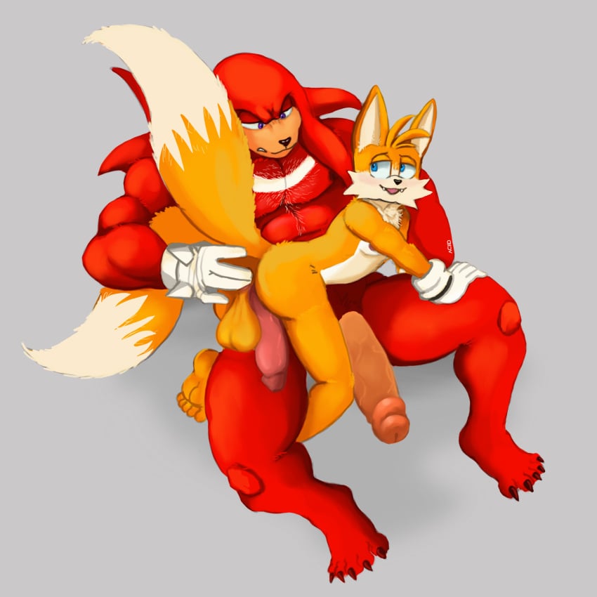 aciidtron anal anal_fingering anal_sex anthro anus balls canid canine clothing duo echidna fingering fox gay genitals gloves handwear hi_res knuckles_the_echidna male male/male male_only male_penetrated male_penetrating male_penetrating_male mammal miles_prower miles_tails_prower monotreme muscular nipples penetration sega sex simple_background sonic_(series) sonic_the_hedgehog_(series) tails tails_the_fox