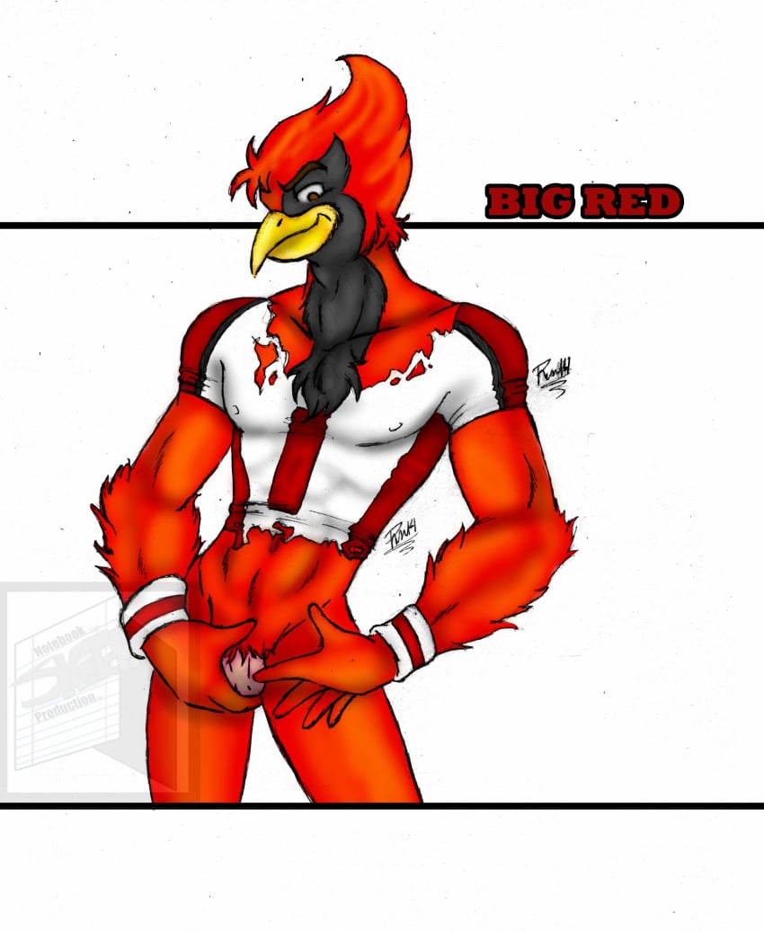 1boy 2014 anthro cardinal clothing jersey male male_only model muscles nfl penis pose rcc2002 red_cardinal shirt solo standing torn_clothing torn_shirt wristband