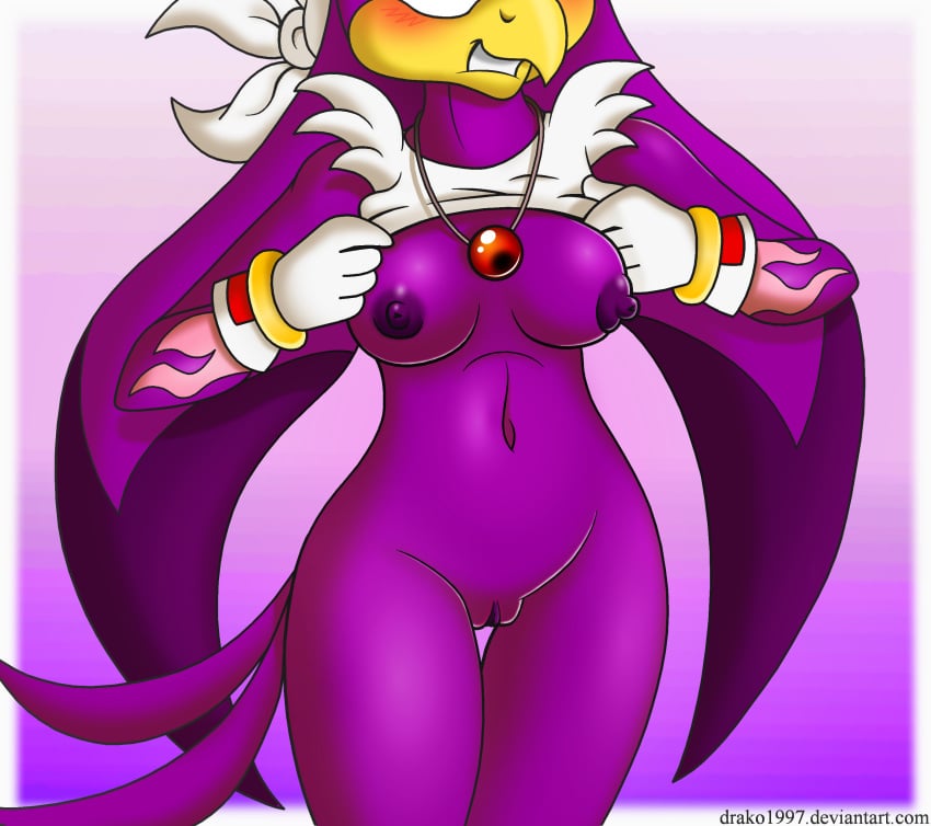 2015 anthro avian bandana beak big_breasts bird biting_lip blush breasts clothing cropped drako1997 feathers female female_focus female_only flame_pattern fur furry furry_only gloves handwear headwear naked navel nipples nude plain_background presenting presenting_breasts purple_body purple_fur pussy sega solo sonic_(series) sonic_riders standing swallow topwear undressing video_games wave_the_swallow