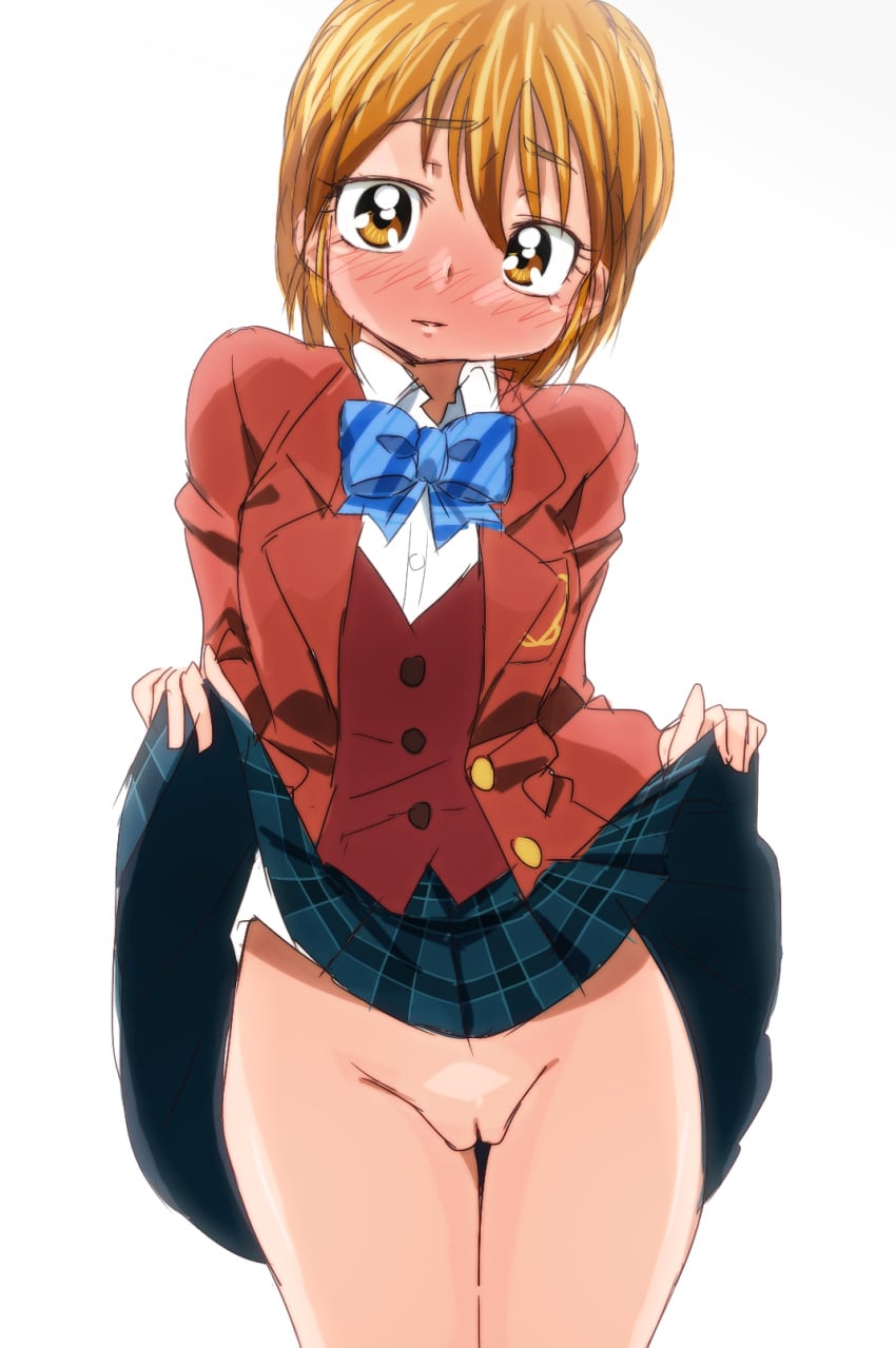 Misumi Nagisa (Futari Wa Precure) Rule 34 Image