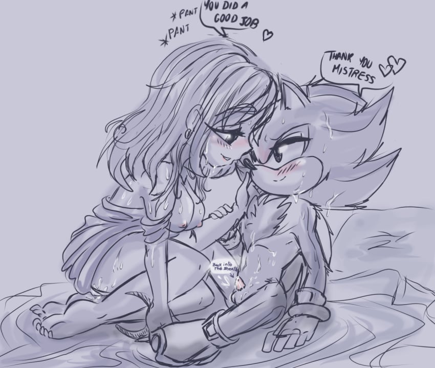Sonic (Series) Rule 34 Image
