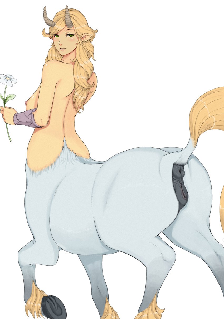 2014 anatomically_correct animal_genitalia animal_genitalia_on_humanoid anus ass big_butt black_anus black_pussy blush breasts centaur centauress centauride donut_anus edit equine equine_anus etheross female feral flower hair holding_flower horns horse_anus_on_humanoid horse_pussy_on_humanoid horsepussy looking_at_viewer looking_back mammal nipples nude plain_background pointy_ears presenting puffy_anus pussy raised_tail solo standing tail taur white_background