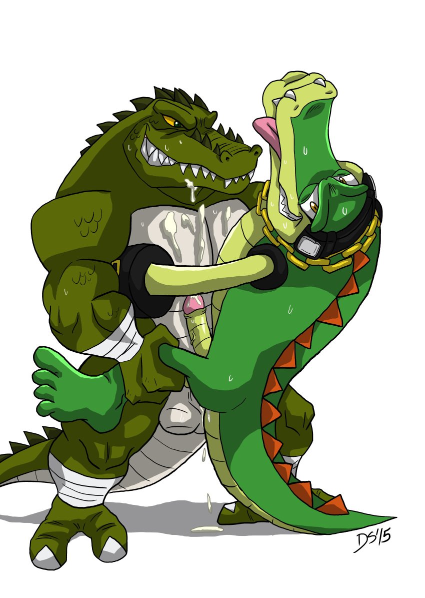 alligator anal anal_sex anthro balls big_dom_small_sub cel_shading crocodile cum cum_on_chest cum_on_chin duo erection fangs gay grin leatherhead lifted male male_only multiple_boys penetration penis reptile scalie sega sex sharp_teeth size_difference sonic_(series) stand_and_carry_position standing sweat teenage_mutant_ninja_turtles teeth thedirtyshark tongue tongue_out vector_the_crocodile vein veiny_penis