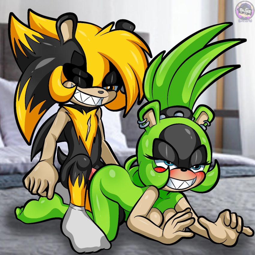 Sonic (Series) Rule 34 Image