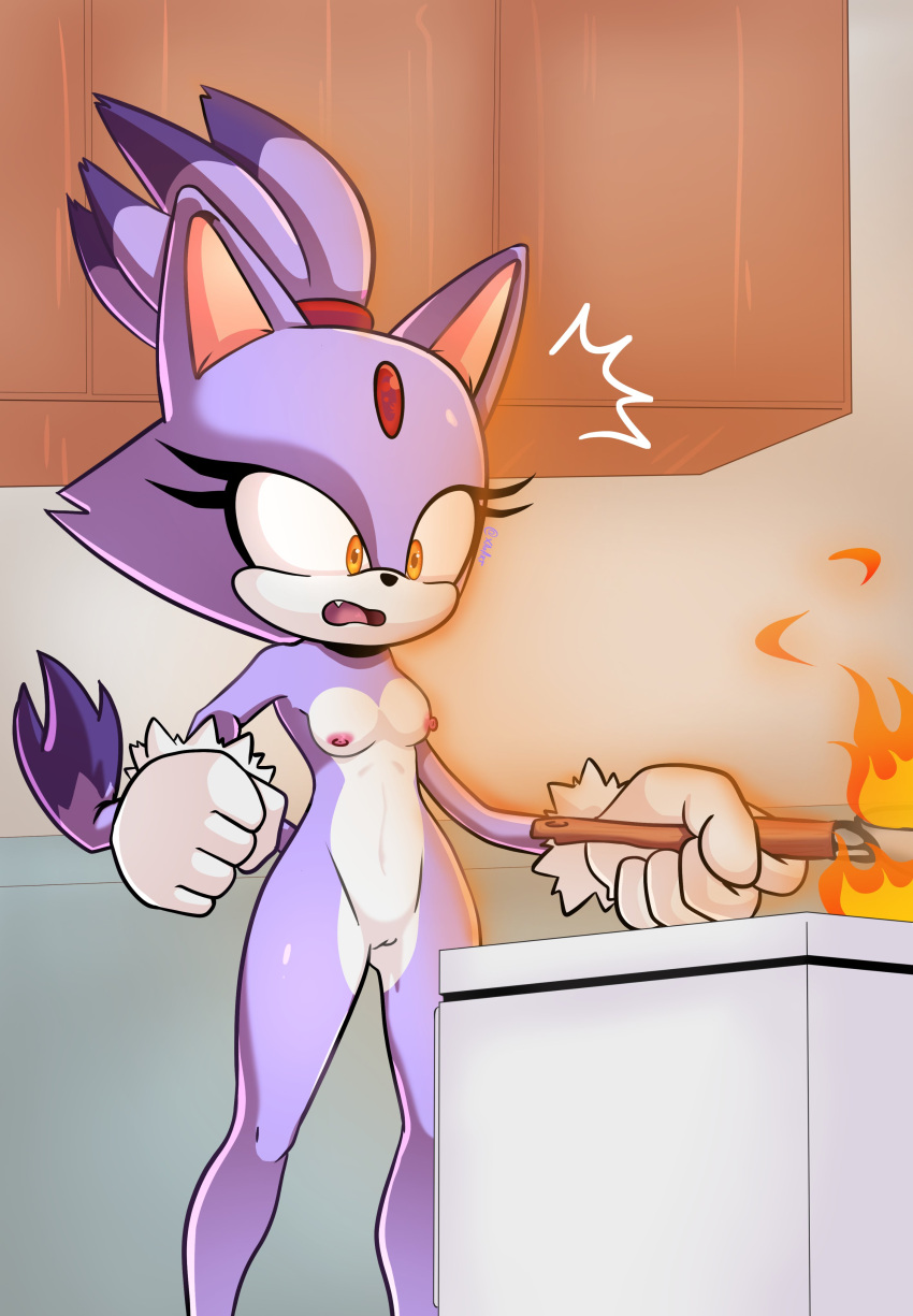 absurd_res anthro areola blaze_the_cat breasts cooking digital_media domestic_cat felid feline felis female fire fur genitals hair hi_res inside kitchen mammal nipples nosafexao nude open_mouth purple_body purple_fur pussy scared sega simple_background solo sonic_(series) sonic_the_hedgehog_(series) tail xao_art