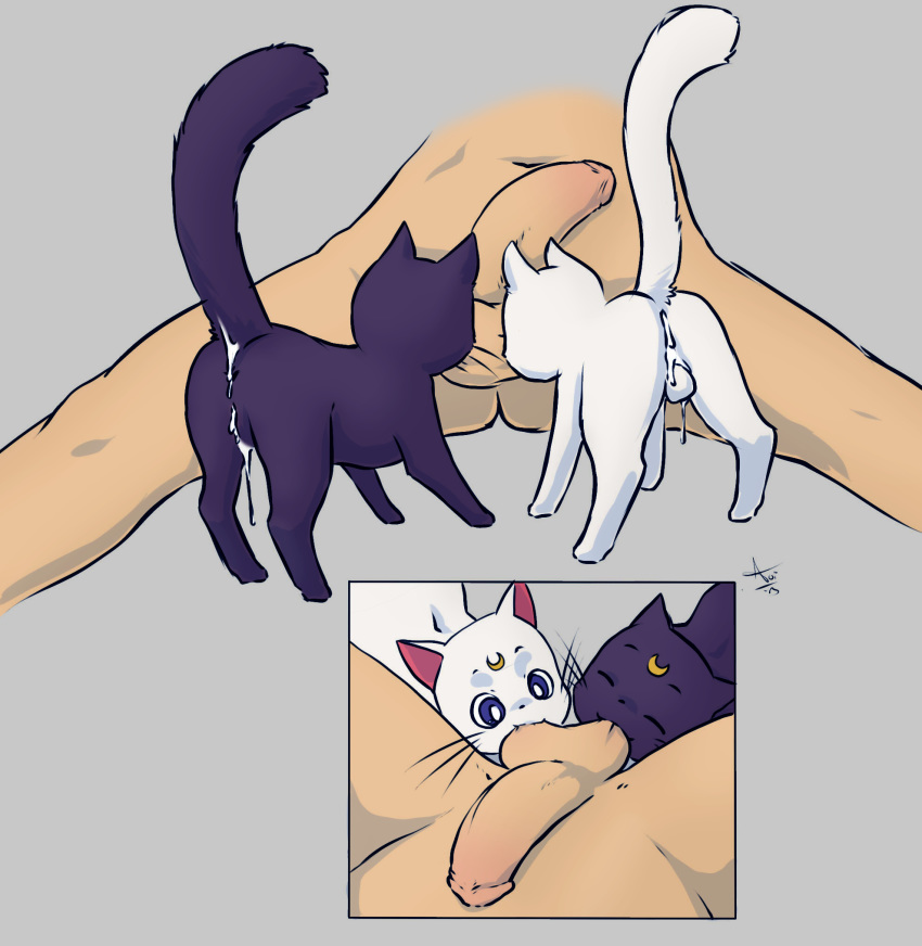 1girls 2boys after_sex anus aogami artemis_(sailor_moon) ass ball_sucking balls bisexual bishoujo_senshi_sailor_moon closed_eyes collaborative_fellatio completely_nude cum cum_in_ass cum_in_pussy cum_inside cum_on_balls dripping feline fellatio female feral grey_background group group_sex human_on_feral interspecies large_penis luna_(sailor_moon) male multiple_boys multiple_fellatio navel nude oral oral_sex penis pov sex signature sitting size_difference smile spread_legs sucking_balls sucking_testicles teamwork testicles threesome uncensored whiskers zoophilia