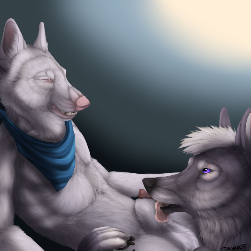 akira anthro canine closed_eyes couple duo fur gay licking love male mammal messy necktie nomessapplication_(artist) oral penis purple_eyes shane sheath tongue tongue_out white_fur wolf