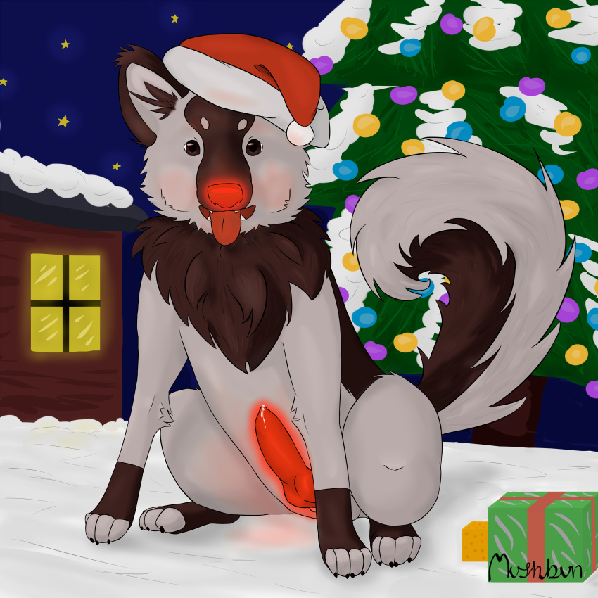 anatomically_correct brown_eyes canine canine christmas feral gift glowing holidays male mammal mushbun paws penis precum snow solo