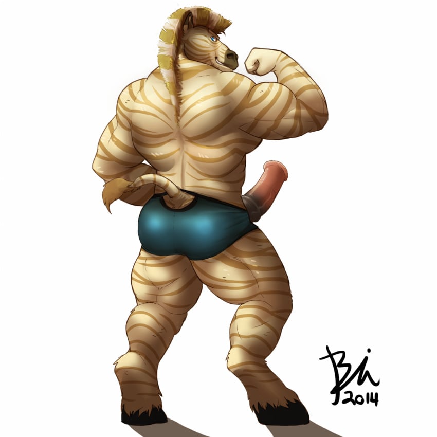 2014 animal_genitalia biceps big_muscles bin_(artist) clothed clothing equine erection flexing half-dressed horsecock looking_at_viewer looking_back male male_only mammal muscles penis solo standing topless zebra