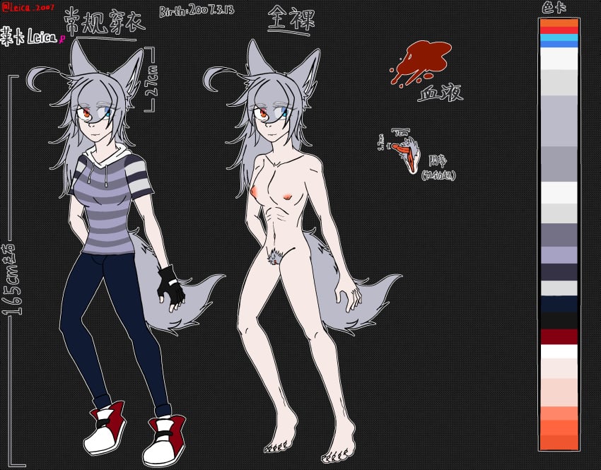 1girls absurd_res animal_humanoid big_clitoris big_ears blood blue_eyes bodily_fluids breasts canid canid_humanoid canine canine_humanoid chinese_text clitoris clothed clothing coyote_humanoid dull_hair female female_only genitals grey_hair hi_res humanoid leica_2007 leica_（leica_2007） mammal mammal_humanoid model_sheet naked nipples nude orange_eyes pussy solo tail text