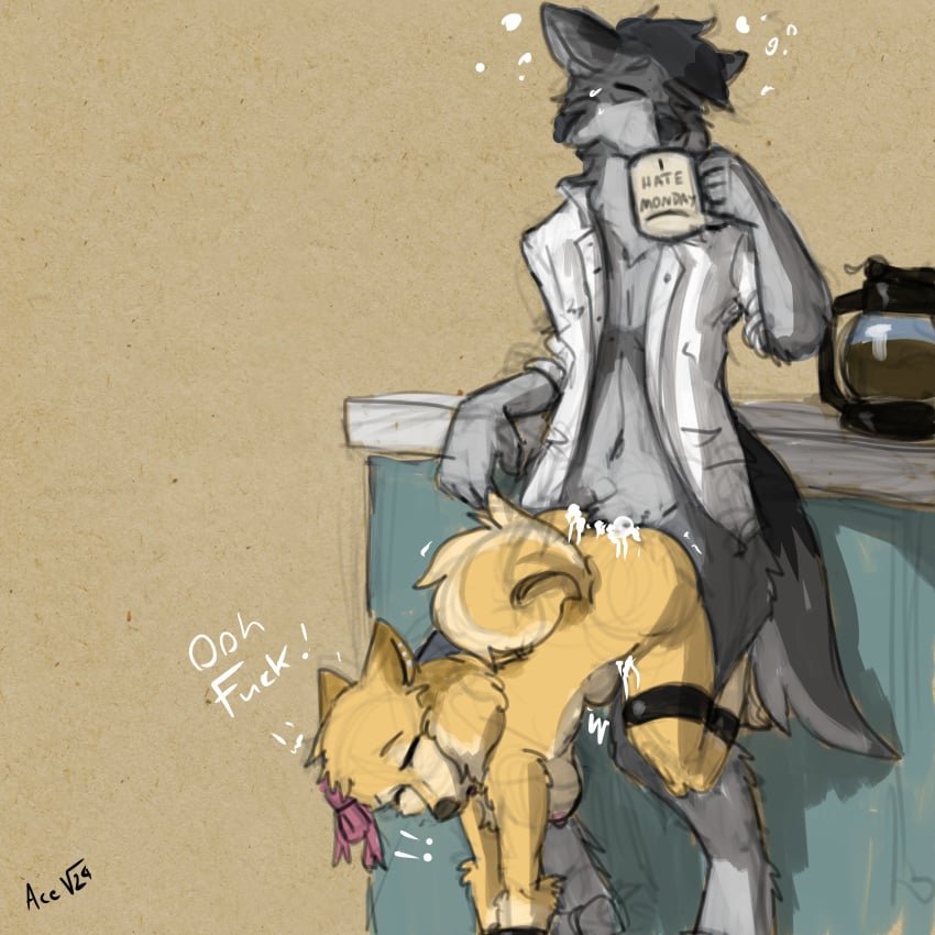 absurd_res acev anthro beverage bodily_fluids bondage bondage bound canid canine canis clothed clothing coffee cum cum_inside domestic_dog female furry genital_fluids hi_res inflation inflation knot_hanging knotting lordofthetroglodytes male male/female mammal mordecai_(acev) open_clothing open_shirt open_topwear partially_clothed pomeranian ribbons shirt spitz tessie_(lordofthetroglodytes) tired topwear wolf