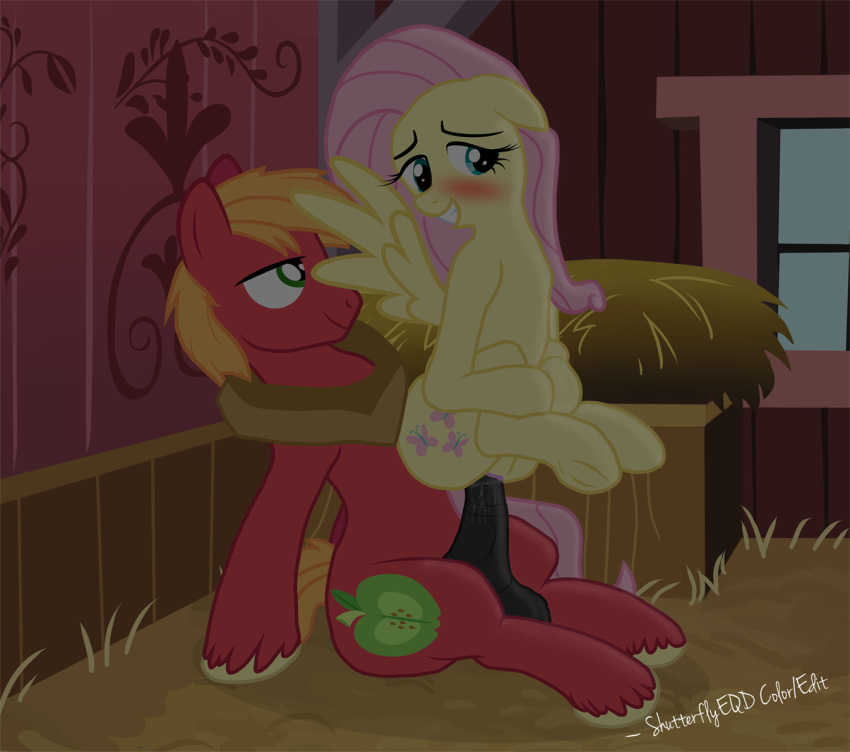 2014 animal_genitalia balls big_macintosh_(mlp) blonde_hair blue_eyes blush chair_position duo equine erection female feral fluttershy_(mlp) friendship_is_magic from_behind green_eyes hair happy happy_sex horse horsecock lying male mammal my_little_pony nude on_back on_top pegasus penetration penis pink_hair pony pussy pussy_juice sex shutterflyeqd smile straight vaginal_penetration vaginal_penetration wet wings