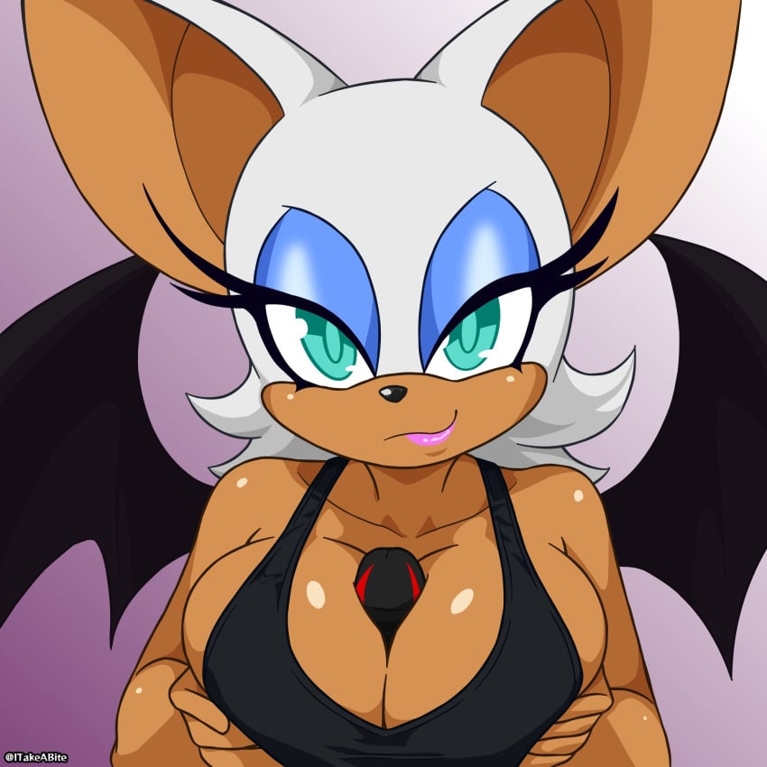 1girls anthro anthro_only big_breasts female furry furry_female furry_male furry_only implied_character interspecies itakeabite looking_at_viewer male male/female rouge_the_bat sega shadow_the_hedgehog sonic_(series) sports_bra