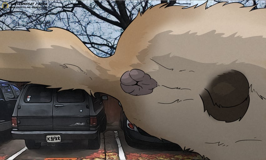 anus balls canid canine canis car chevrolet_suburban colored domestic_dog genitals hi_res invalid_tag male mammal photo shaded tail thathornycat vehicle