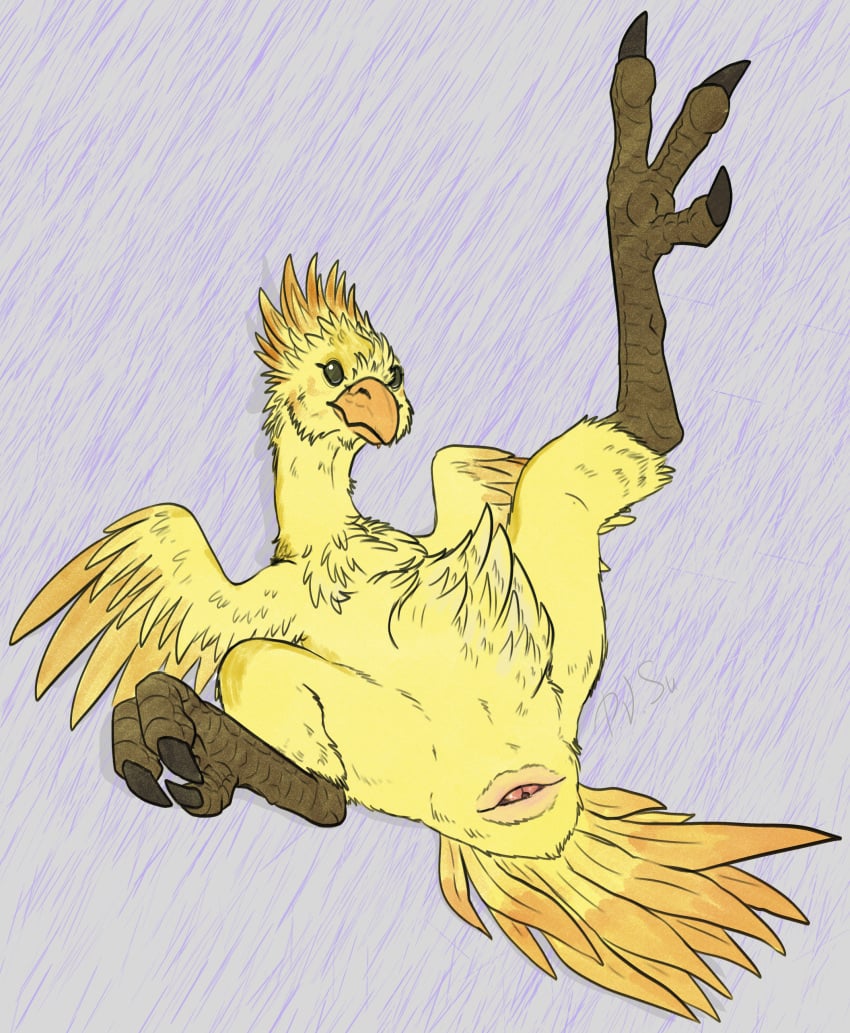 absurd_res ambiguous_gender animal_genitalia avian beak bird chocobo claws cloaca feathers feet female feral final_fantasy genitals hi_res p.v.su simple_background solo square_enix talons toes wings yellow_body yellow_feathers