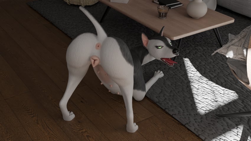 3d absurd_res anatomically_correct anatomically_correct_anus anatomically_correct_genitalia anatomically_correct_pussy animal_genitalia animal_pussy anthro anus ass black_nose blender_(artwork) canid canine canine_genitalia canine_pussy canis domestic_dog female female_focus fur genitals hi_res mammal monotone_anus nude pink_anus pink_pussy pussy quadruped raised_tail realistic_feral solo syaru3d tail white_body white_fur widescreen