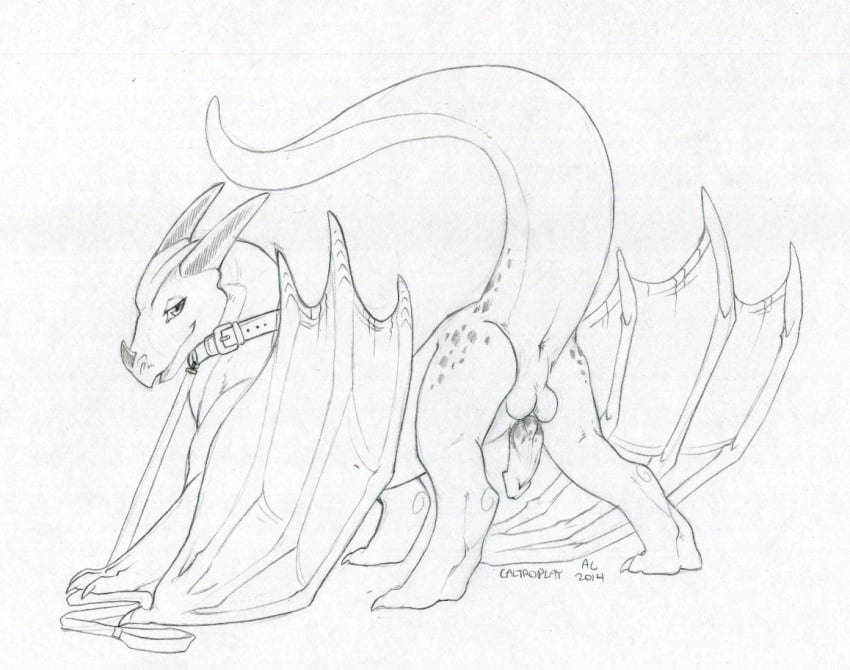 2014 anus backsack balls caltroplay collar digitigrade erection feral half-closed_eyes horn leash looking_at_viewer male monochrome nazurah penis raised_tail scalie seductive sketch smile solo spots standing submissive thick_tail traditional_media wings