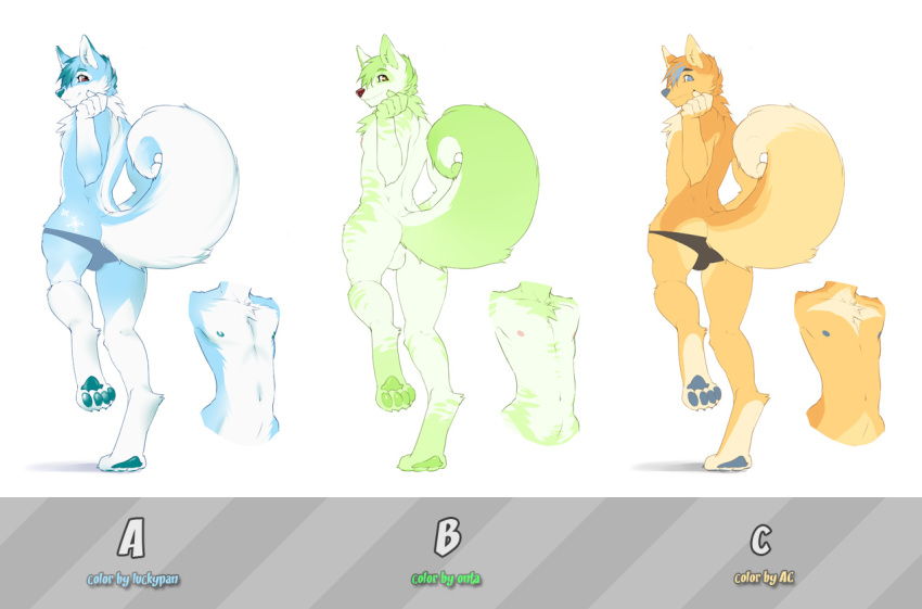 anthro aycee balls canine clothing dog doxy fur furry group husky luckypan male male_only mammal onta speedo swimsuit thong