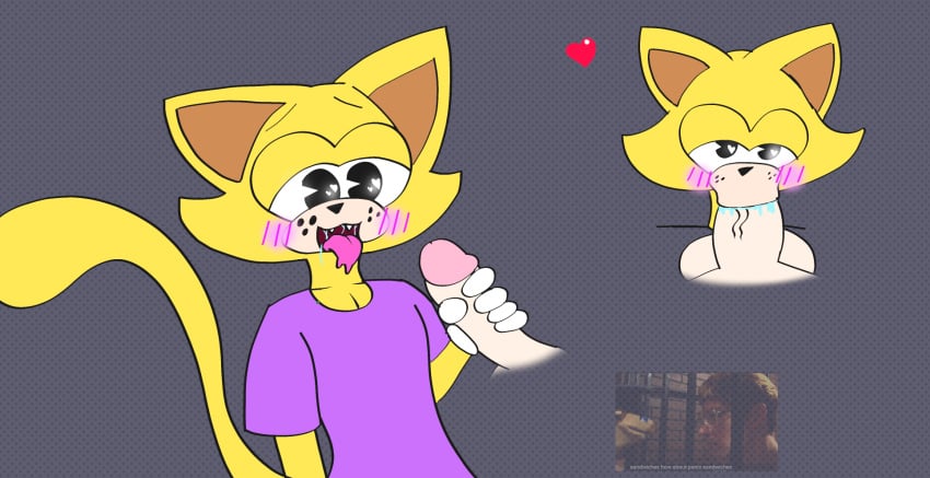 blowjob blush drooling human_penis looking_at_viewer penis pleading_eyes tongue_out toontown_cat toontown_corporate_clash toontown_online toontown_rewritten yellow_fur