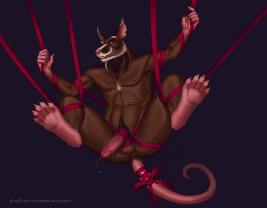 Master Splinter (Nickelodeon) Rule 34 Image