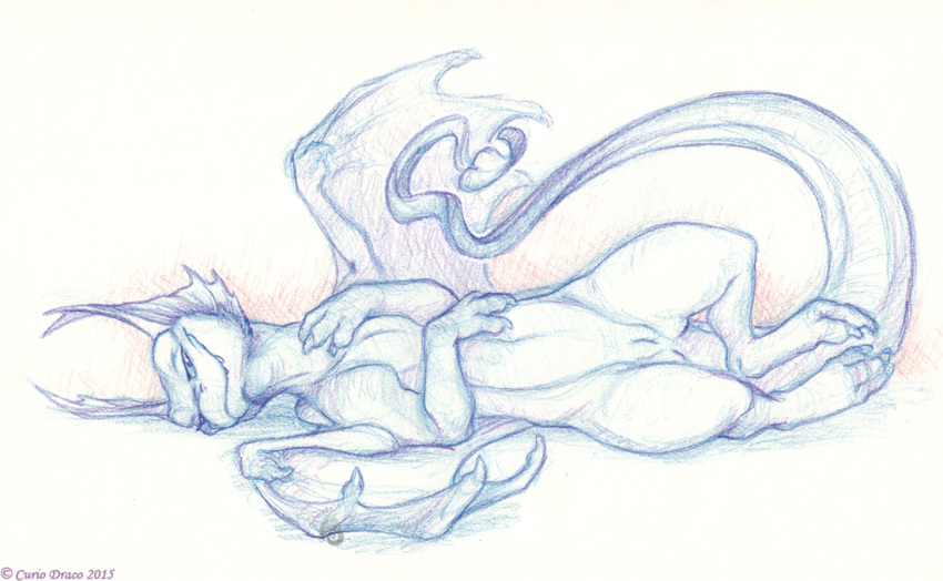 curiodraco dragon female feral looking_at_viewer monochrome nude pinup pose pussy sketch solo wings