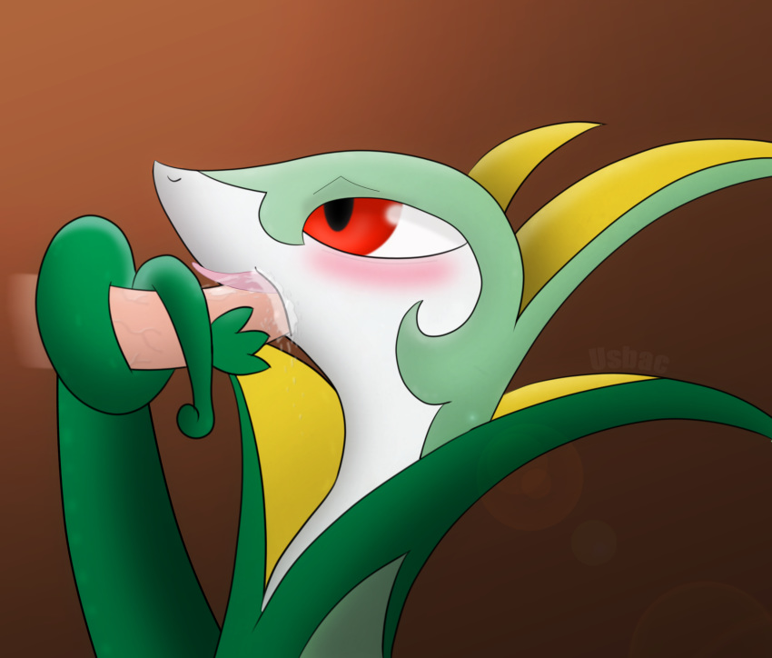 Serperior (Nintendo) Rule 34 Image