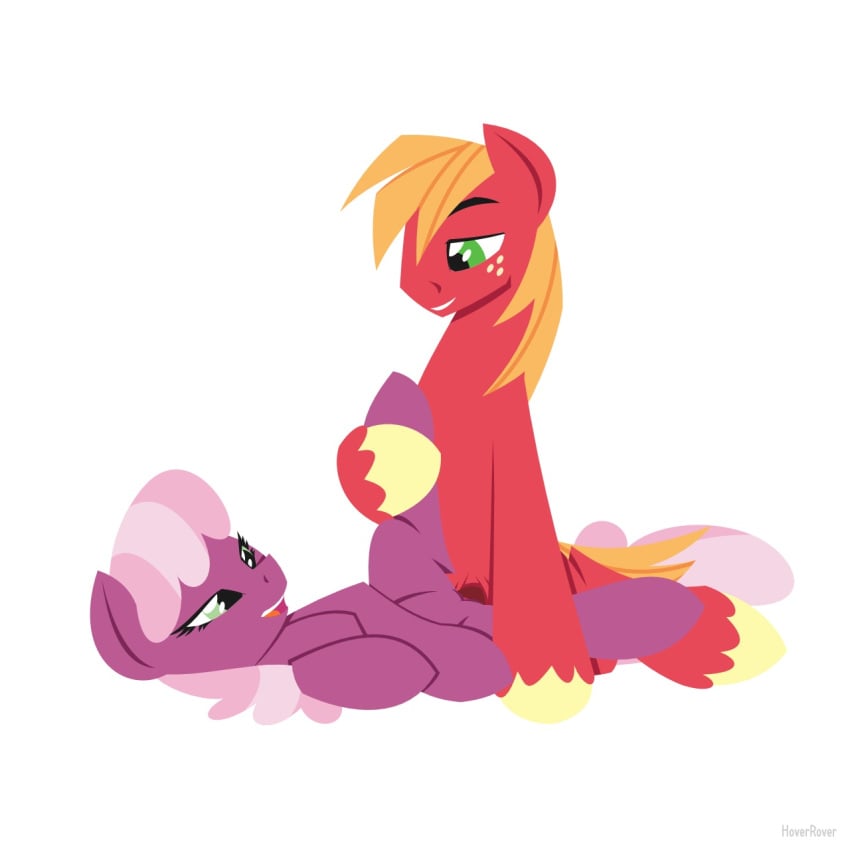 big_macintosh_(mlp) cheerilee_(mlp) duo earth_pony equine female freckles friendship_is_magic hair horse hoverrover male mammal my_little_pony penetration penis pony pussy sex smile straight vaginal_penetration