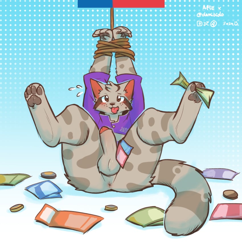 anthro anus arms_tied balls bound brown_eyes chin_chin demibido domestic_cat felid feline felis freckles genitals hands_tied hi_res leopardus male male_only mammal money paws penis rope sernac solo solo_male tongue tongue_out