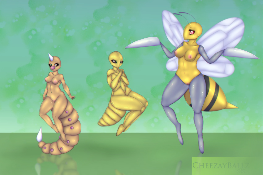 2014 antennae anthro anthrofied arthropod beedrill big_breasts breasts cheezayballz covering covering_breasts female group horn insects kakuna looking_at_viewer nintendo nipples nude pink_nipples pokemon pokemon_rgby pussy red_eyes size_difference stinger video_games weedle wings