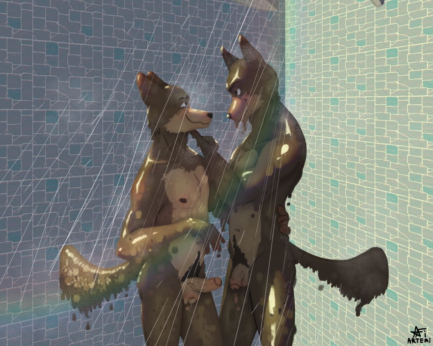 5:4 absurd_res age_difference andy_(echto) anthro anthro_on_anthro artemi bathing bathroom bedroom_eyes brown_body canid canine canis charlie_(echto) countershade_torso countershading domestic_dog duo erection eye_contact father father_and_child father_and_son finger_on_chin flaccid genitals hand_on_back hi_res holding_each_other humanoid_genitalia humanoid_penis incest intimate looking_at_another male male/male mammal mature_male narrowed_eyes navel nipples nude older_male parent parent_and_child parent_and_son penis pubes seductive shower showering showering_together son wet younger_male