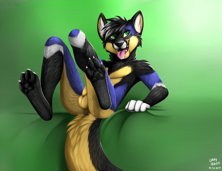 1boy 2014 anthro ass balls canine claws fur green_eyes hair lucas_(littlebluewolfleo) male male_only mammal nude open_mouth pawpads paws penis sheath smile solo spreading tongue tongue_out wintersnowolf wolf