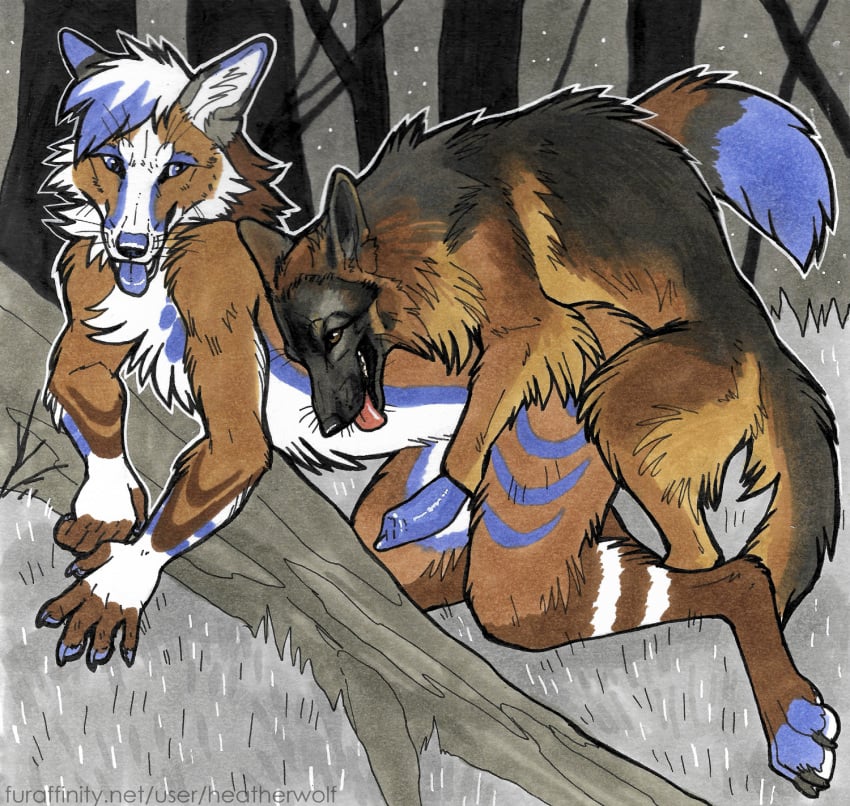 all_fours anal anal_sex animal_genitalia animal_penis anthro anthro_on_feral anthro_penetrated black_claws black_nose blue_eyes blue_nose blue_penis blue_tongue brown_body brown_eyes brown_fur canid canine canine_genitalia canine_penis canis claws digitigrade domestic_dog duo erection feral feral_penetrating feral_penetrating_anthro finger_claws from_behind_position fur genitals german_shepherd heatherwolf herding_dog hi_res male male/male male_on_feral male_penetrated male_penetrating male_penetrating_male mammal mounting outside pastoral_dog penetration penis quadruped sex snout text toe_claws tongue tongue_out url whiskers zoophilia