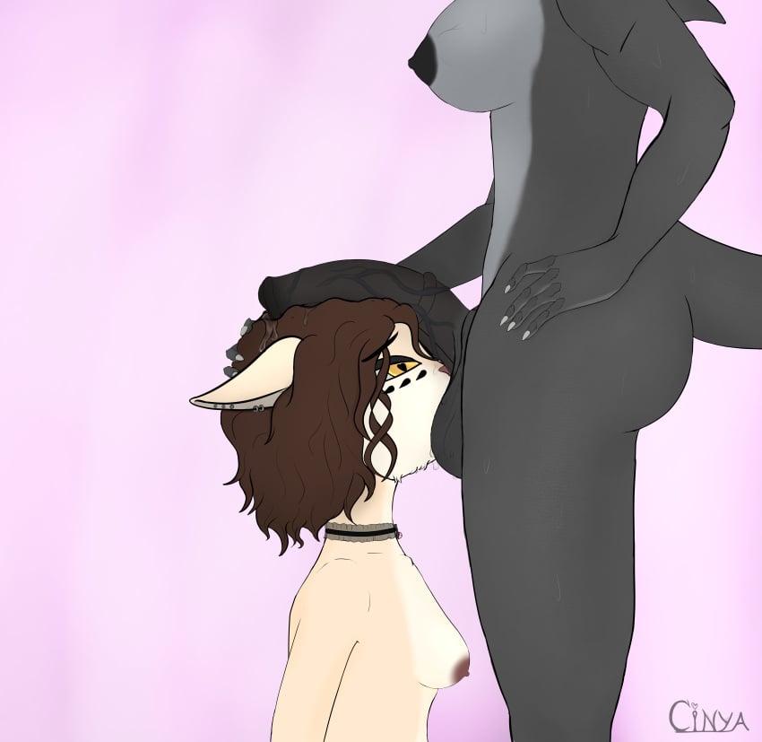 absurd_res animal_genitalia animal_penis anthro ass ball_sniffing balls bodily_fluids breasts cinya cinya_(cinya) collar curly_hair domestic_cat duo equine_genitalia equine_penis erection felid feline felis female fish fur futanari genital_fluids genitals gynomorph gynomorph/female hair hand_on_head hi_res intersex intersex/female kneeling mammal marine nipples nude penis penis_on_head penis_sniffing piercing precum scales scalie shark simple_background sniffing sweat sweaty_balls sweaty_genitalia tail trans_woman transfem vein veiny_penis