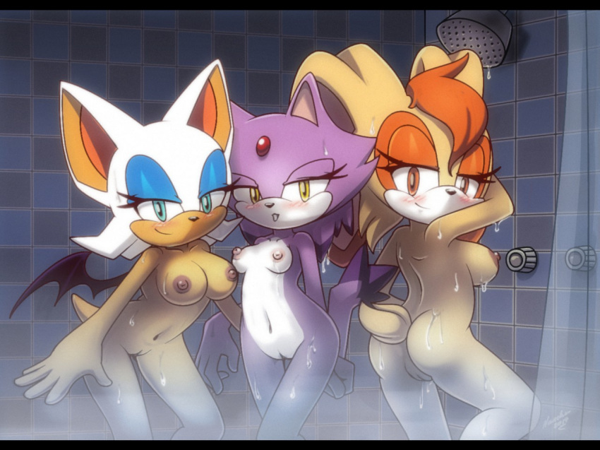 2014 anthro areola bat big_breasts blaze_the_cat breasts erect_nipples feline female group lagomorph mammal milf mother nancher nipples nude parent pussy rabbit rouge_the_bat sega shower sonic_(series) sonic_the_hedgehog_(series) vanilla_the_rabbit