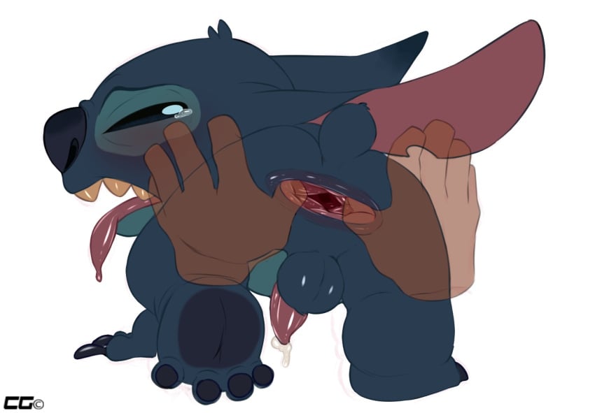 4_fingers 4_toes alien all_fours anus balls blue_fur claws crazedg crying disembodied_hand disney duo experiment_(species) feral fur gaping gaping_anus human lilo_and_stitch male male_only mammal penis plain_background solo_focus spread_anus spreading stitch tears toes tongue tongue_out yaoi