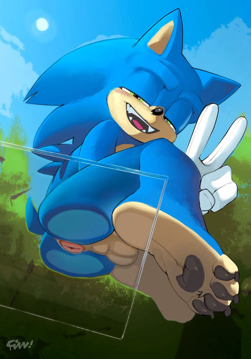 Sonic The Hedgehog (Sega) Rule 34 Image