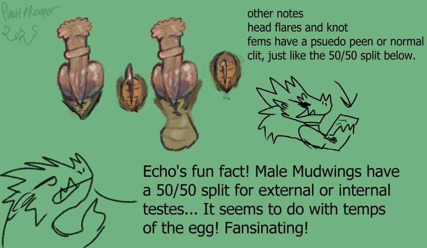 Mudwing (Wof) Rule 34 Image