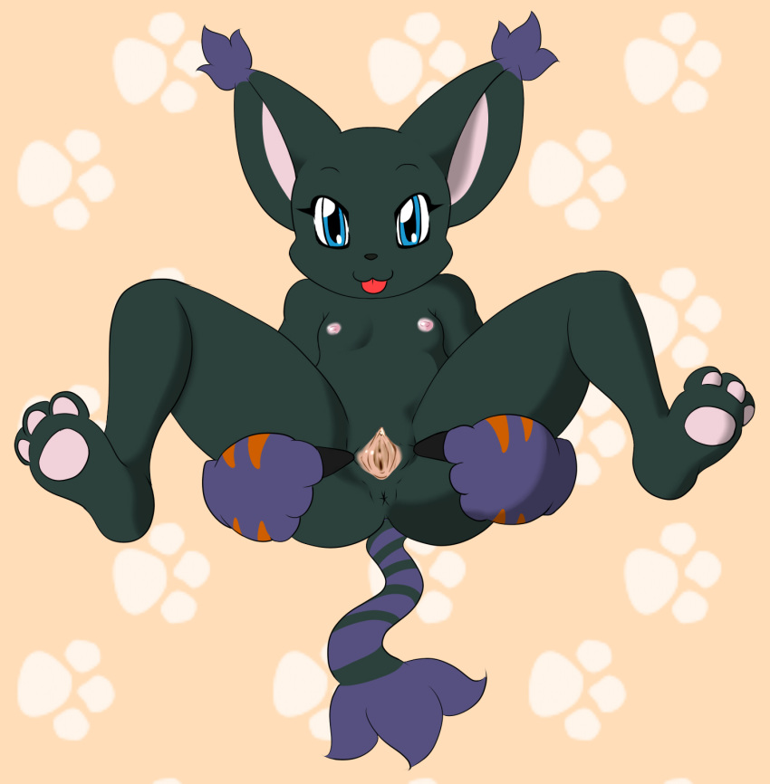 anthro anus bandai blackgatomon breasts digimon feline female killy00 mammal nipples pawpads paws pussy solo spread_pussy spreading