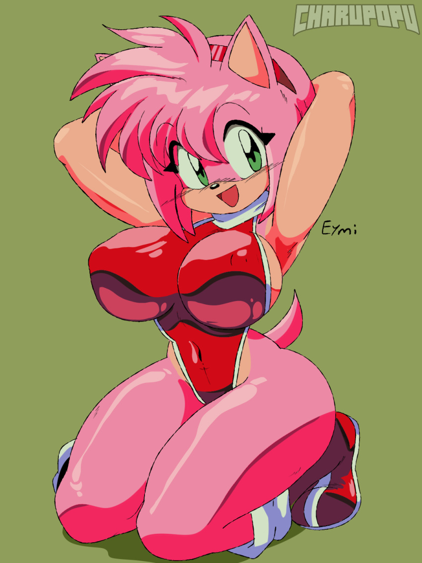 Amy Rose (Sega) Rule 34 Image