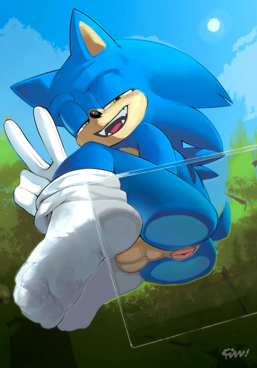 Sonic The Hedgehog (Sega) Rule 34 Image