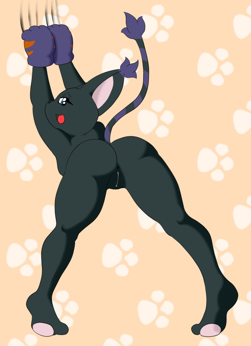 anthro anus bandai blackgatomon digimon feline female killy00 mammal pussy raised_tail rear_view solo