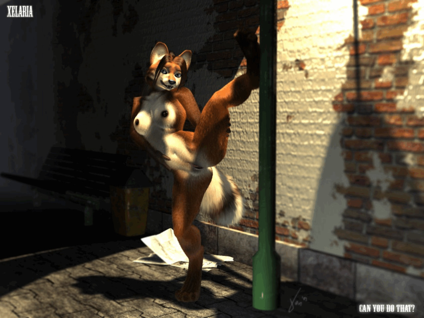 3d anthro black_nipples black_nose breasts canine female fox furry looking_at_viewer mammal navel night nipples nude outside pussy raised_leg seductive slim smile solo spreading standing street street_light xanaeth xelaria