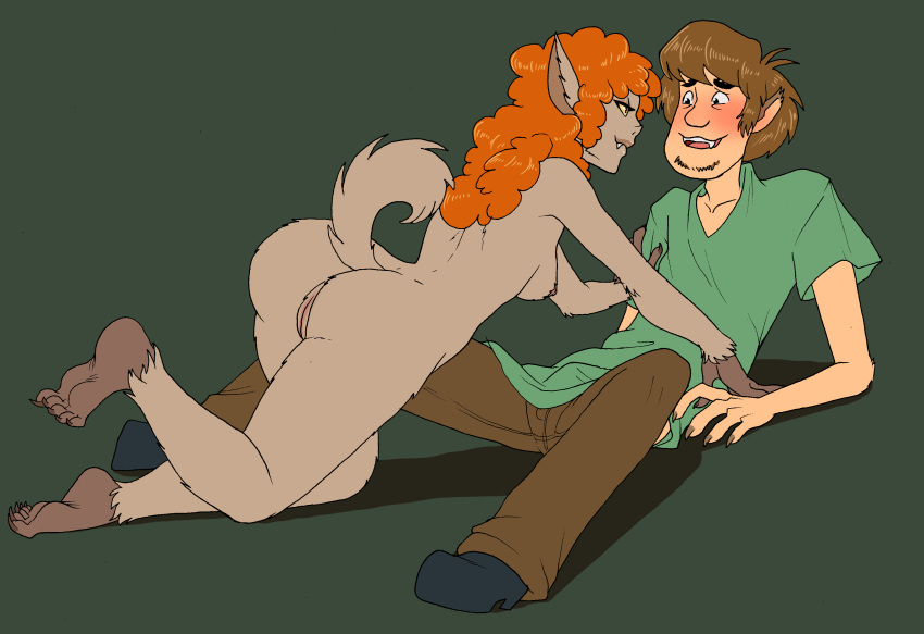 1boy 1girls anthro ass blush breasts brown_trousers canine dontfapgirl duo female fur furry hanna-barbera human male mammal monster monster_girl nervous nipples nude presenting presenting_hindquarters pussy scooby-doo scooby-doo_and_the_ghoul_school shaggy_rogers shy sideboob straight tail teeth transformation were werecanid werecanine werewolf werewolf_girl winnie_werewolf