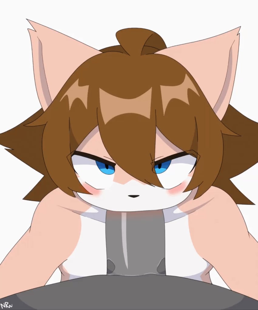 2024 5:6 ahoge akumu_(nightmareroa) ambiguous_species animated anthro anthro_on_anthro big_penis blue_eyes blush bodily_fluids brown_hair canid canine domestic_cat duo felid feline felis fellatio femboy fox fur genitals gif hi_res humanoid_genitalia humanoid_penis hybrid loop male male/male mammal nightmareroa oral orange_body orange_fur penile penis saliva sex short_playtime simple_background white_body white_fur