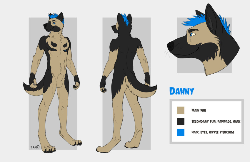 1boy 2014 abs anthro balls black_fur blue_eyes blue_fur brown_fur canine claws fur german_shepherd looking_at_viewer male male_only mammal model_sheet nipples nude pawpads paws sheath solo tar0 text