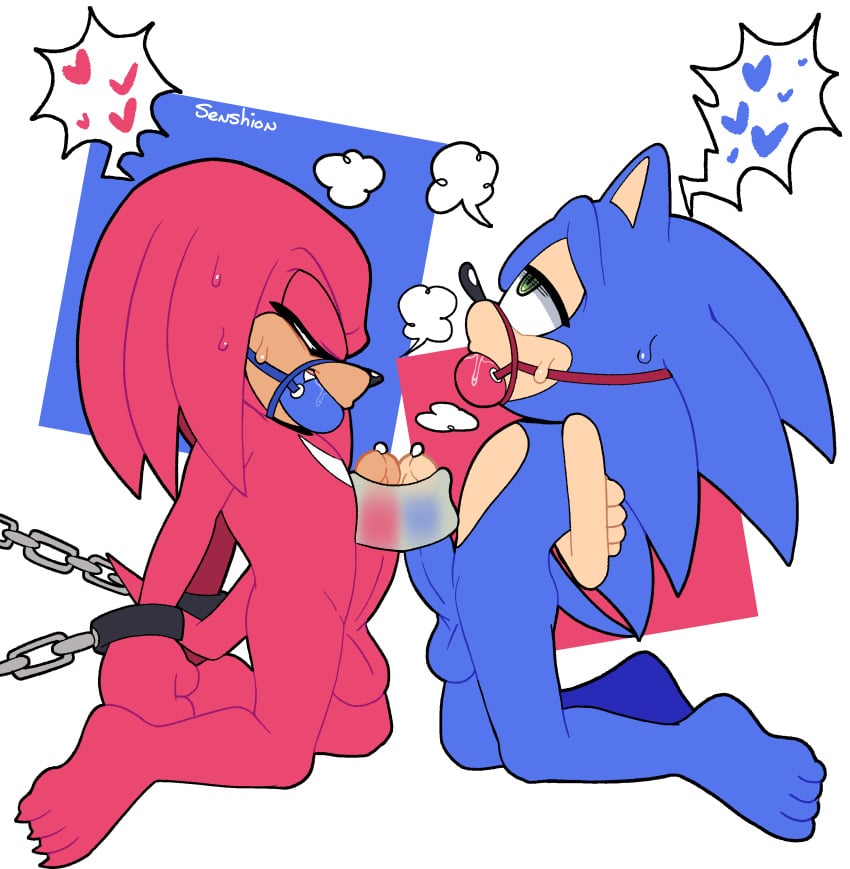 absurd_res anthro ball_gag balls barefoot bodily_fluids bondage bound duo echidna eulipotyphlan feet forced forced_partners frottage gag genitals green_eyes heart_symbol hedgehog hi_res kneeling knuckles_the_echidna male male/male mammal monotreme nude penile penis sega senshion sex shared_masturbator sharing_onahole sharing_sex_toy sonic_(series) sonic_the_hedgehog sonic_the_hedgehog_(series) sonknux sweat